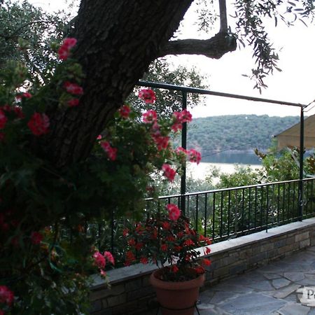 Violetta Studios & Apartments ميلينا الغرفة الصورة