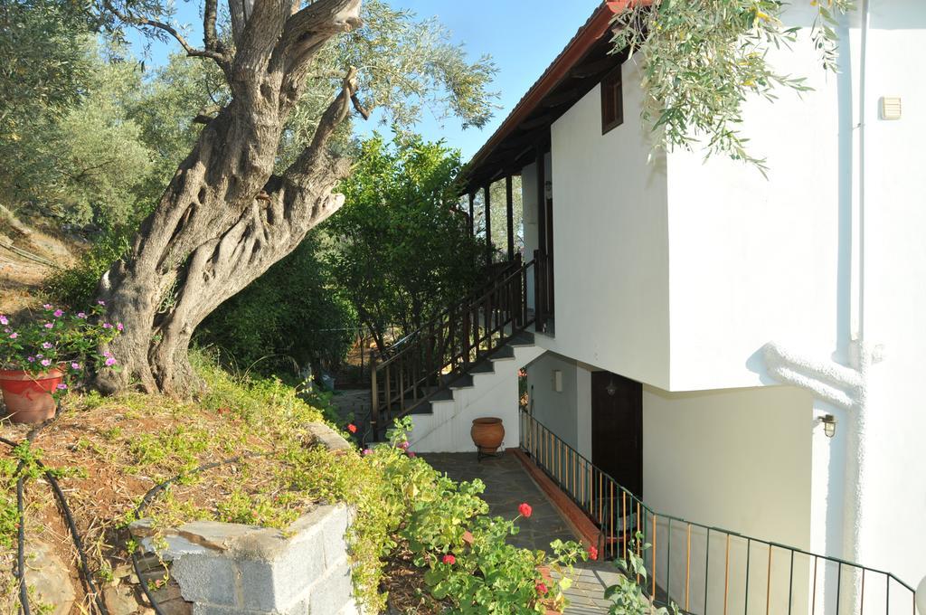 Violetta Studios & Apartments ميلينا المظهر الخارجي الصورة